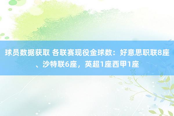 球员数据获取 各联赛现役金球数：好意思职联8座、沙特联6座，英超1座西甲1座