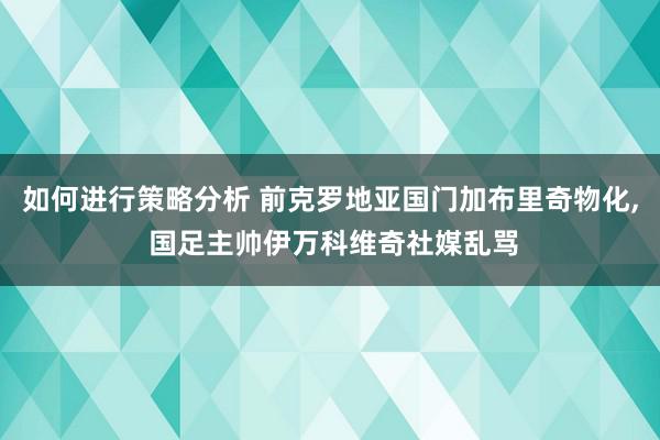 如何进行策略分析 前克罗地亚国门加布里奇物化, 国足主帅伊万科维奇社媒乱骂