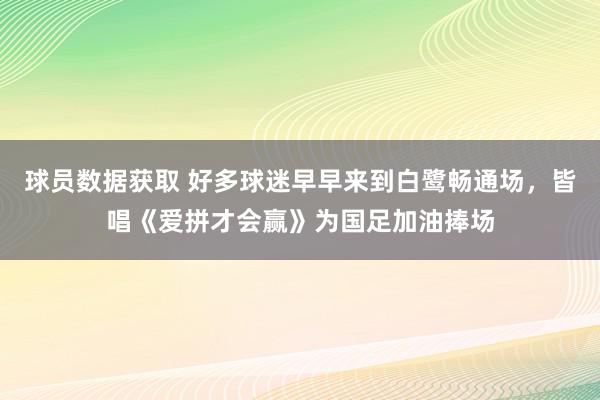 球员数据获取 好多球迷早早来到白鹭畅通场，皆唱《爱拼才会赢》为国足加油捧场