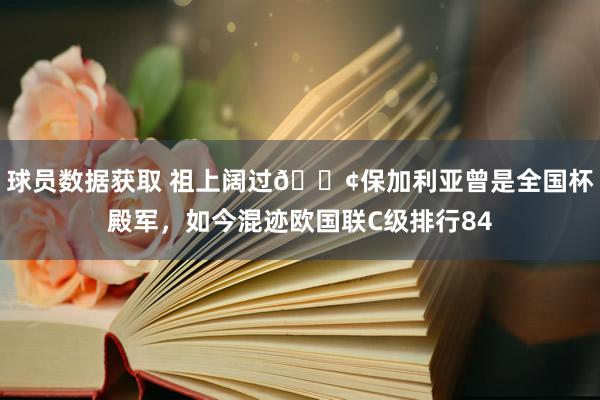 球员数据获取 祖上阔过😢保加利亚曾是全国杯殿军，如今混迹欧国联C级排行84