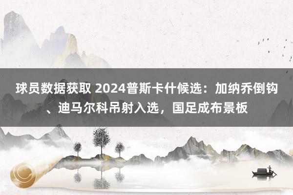 球员数据获取 2024普斯卡什候选：加纳乔倒钩、迪马尔科吊射入选，国足成布景板