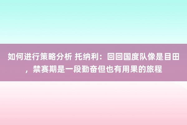 如何进行策略分析 托纳利：回回国度队像是目田，禁赛期是一段勤奋但也有用果的旅程