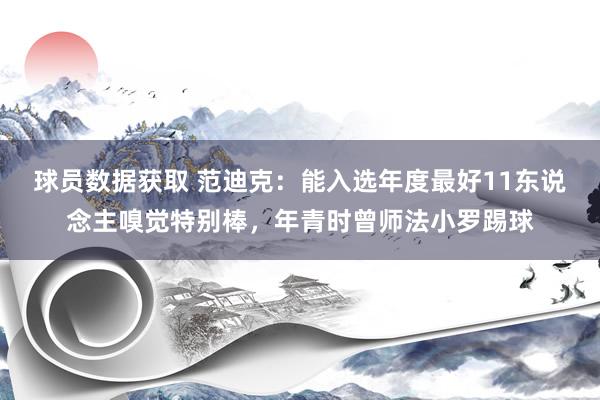 球员数据获取 范迪克：能入选年度最好11东说念主嗅觉特别棒，年青时曾师法小罗踢球