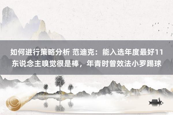 如何进行策略分析 范迪克：能入选年度最好11东说念主嗅觉很是棒，年青时曾效法小罗踢球