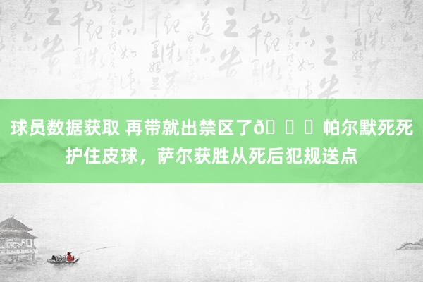 球员数据获取 再带就出禁区了😂帕尔默死死护住皮球，萨尔获胜从死后犯规送点