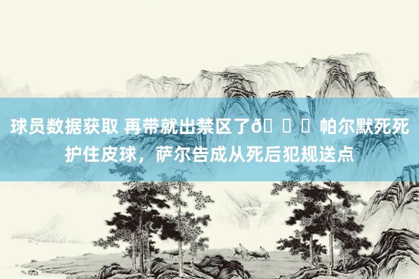 球员数据获取 再带就出禁区了😂帕尔默死死护住皮球，萨尔告成从死后犯规送点