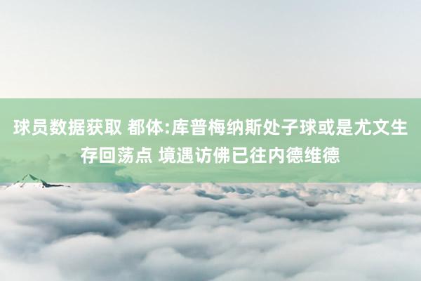 球员数据获取 都体:库普梅纳斯处子球或是尤文生存回荡点 境遇访佛已往内德维德