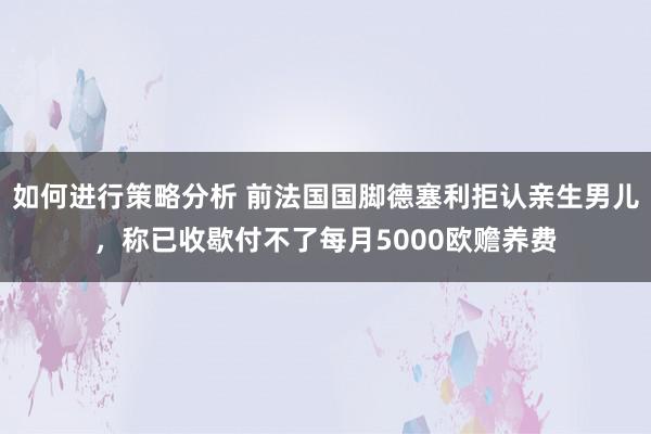 如何进行策略分析 前法国国脚德塞利拒认亲生男儿，称已收歇付不了每月5000欧赡养费