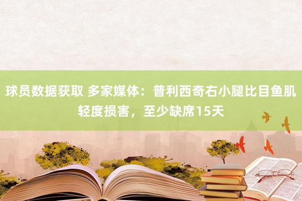 球员数据获取 多家媒体：普利西奇右小腿比目鱼肌轻度损害，至少缺席15天