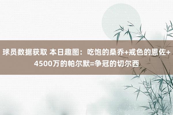 球员数据获取 本日趣图：吃饱的桑乔+戒色的恩佐+4500万的帕尔默=争冠的切尔西