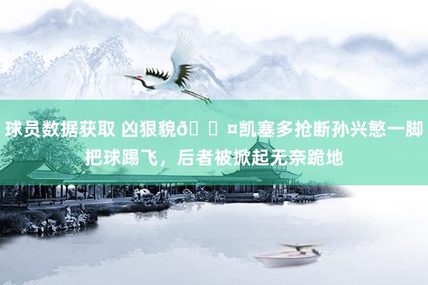 球员数据获取 凶狠貌😤凯塞多抢断孙兴慜一脚把球踢飞，后者被掀起无奈跪地