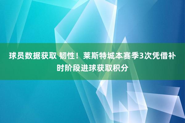 球员数据获取 韧性！莱斯特城本赛季3次凭借补时阶段进球获取积分