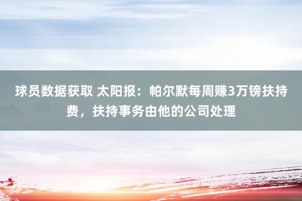 球员数据获取 太阳报：帕尔默每周赚3万镑扶持费，扶持事务由他的公司处理