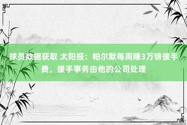 球员数据获取 太阳报：帕尔默每周赚3万镑援手费，援手事务由他的公司处理