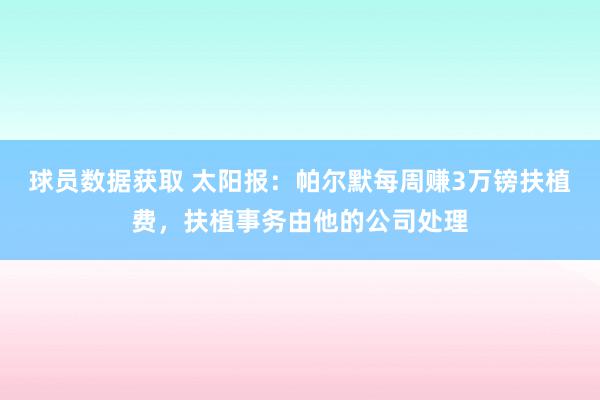 球员数据获取 太阳报：帕尔默每周赚3万镑扶植费，扶植事务由他的公司处理