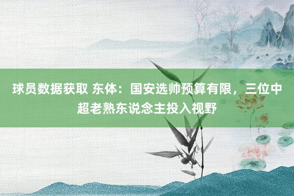 球员数据获取 东体：国安选帅预算有限，三位中超老熟东说念主投入视野