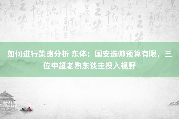 如何进行策略分析 东体：国安选帅预算有限，三位中超老熟东谈主投入视野