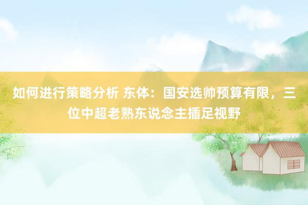 如何进行策略分析 东体：国安选帅预算有限，三位中超老熟东说念主插足视野