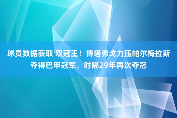 球员数据获取 双冠王！博塔弗戈力压帕尔梅拉斯夺得巴甲冠军，时隔29年再次夺冠