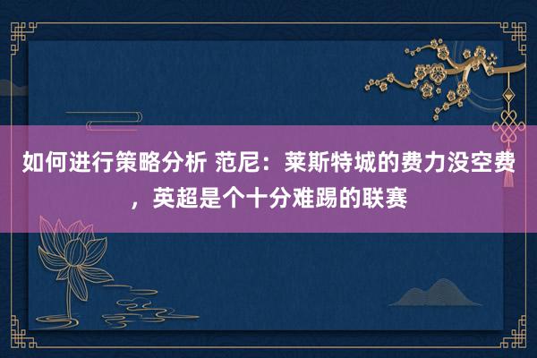 如何进行策略分析 范尼：莱斯特城的费力没空费，英超是个十分难踢的联赛