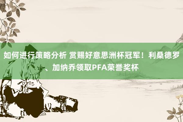 如何进行策略分析 赏赐好意思洲杯冠军！利桑德罗、加纳乔领取PFA荣誉奖杯