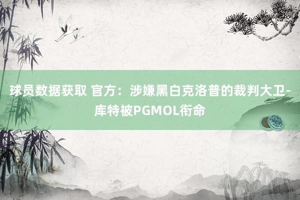 球员数据获取 官方：涉嫌黑白克洛普的裁判大卫-库特被PGMOL衔命