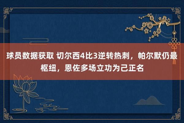 球员数据获取 切尔西4比3逆转热刺，帕尔默仍最枢纽，恩佐多场立功为己正名