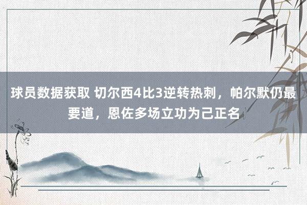 球员数据获取 切尔西4比3逆转热刺，帕尔默仍最要道，恩佐多场立功为己正名